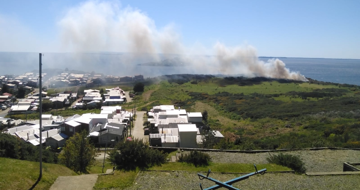 Alerta Roja por incendio forestal en Ancud