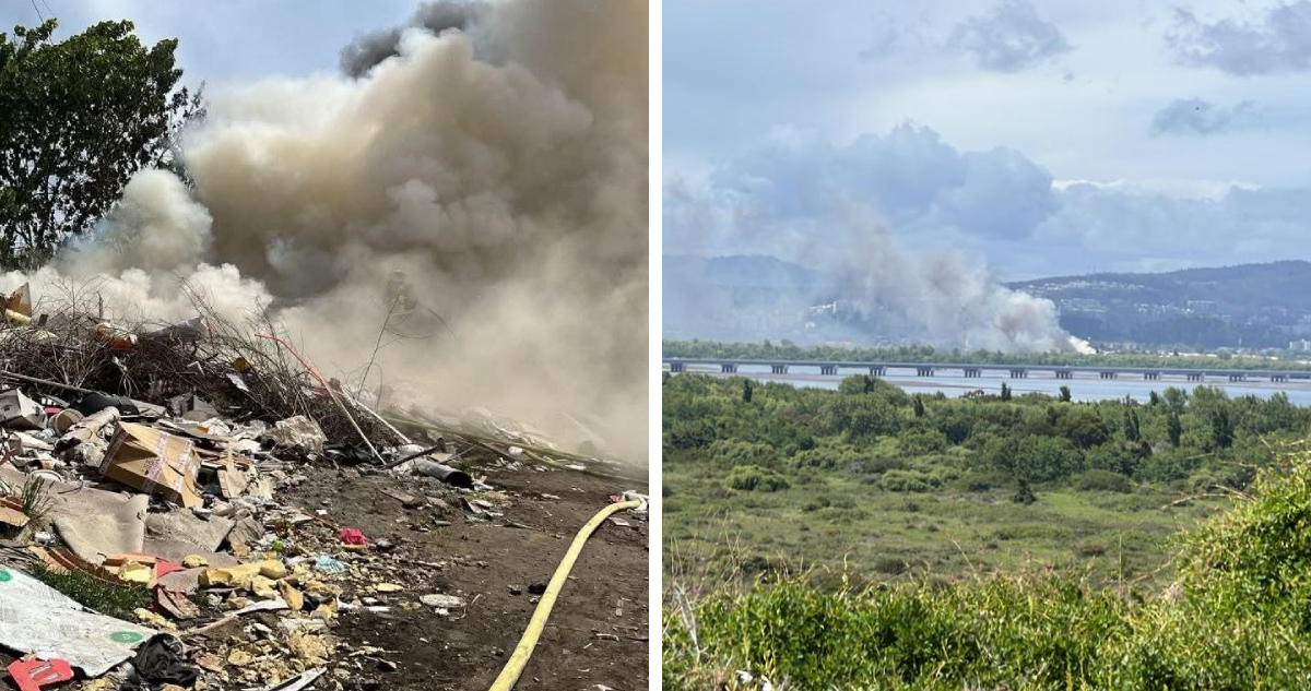 Cedidas a Radio Bío Bío y El Carbón de Lota