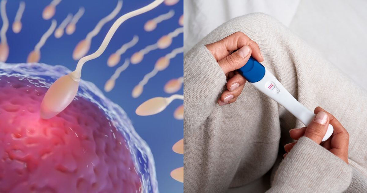 Qué cuidados tener tras una inseminación artificial: ejercicio, alimentación y recomendaciones