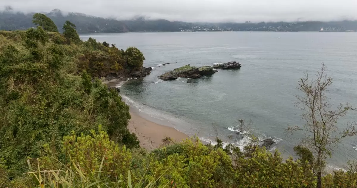 Operador de barcazas amplía servicio y permitirá traslado de cargas pesadas desde la isla de Mancera, región de Los Ríos