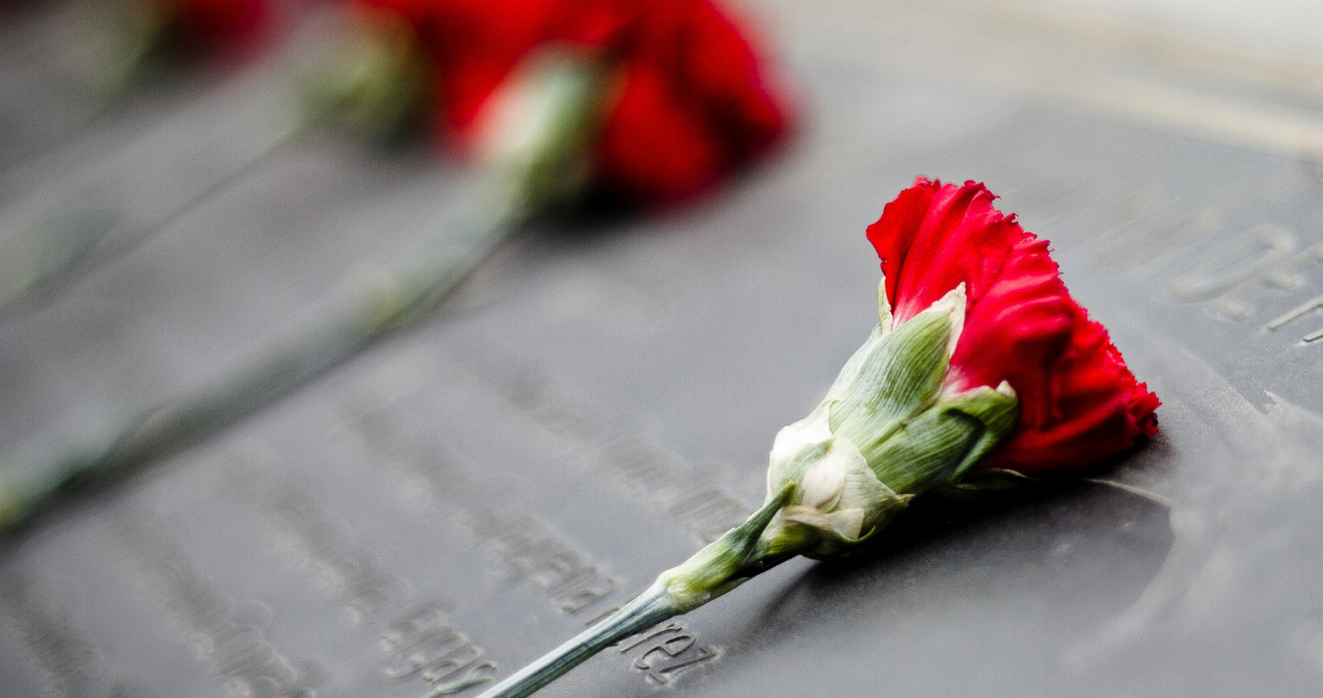 Foto de contexto de claveles rojos para columna sobre persona ausente por desaparición forzada