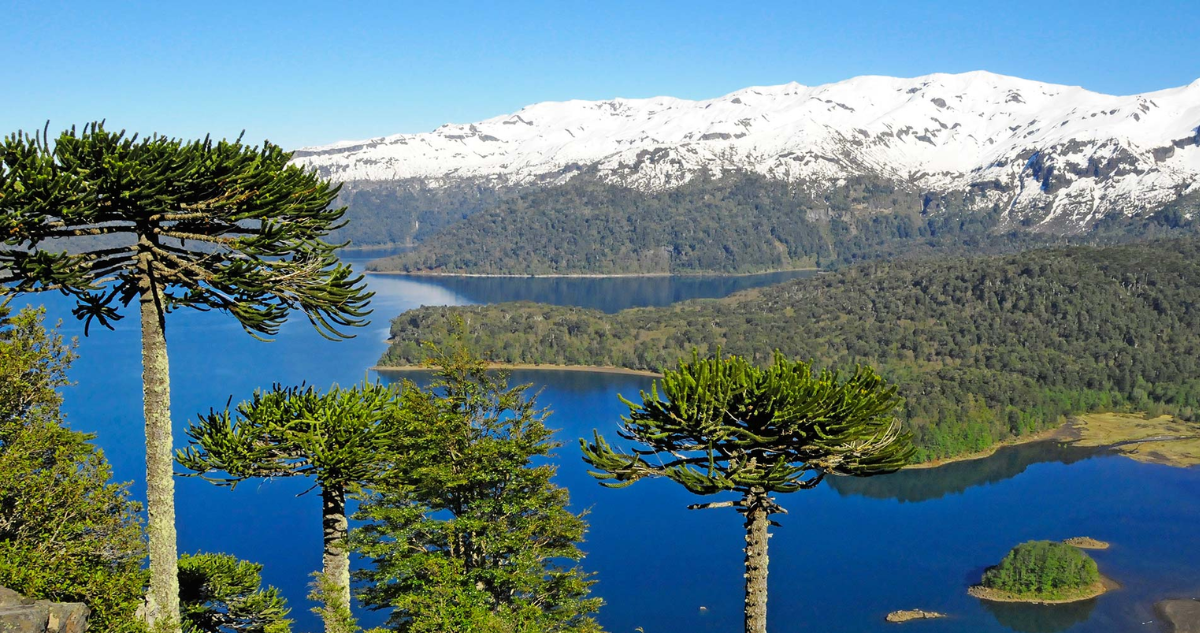 Acusan deterioro en Parque Conguillío por recorridos de cuadrimotos: Conaf dice que no hay prohibición