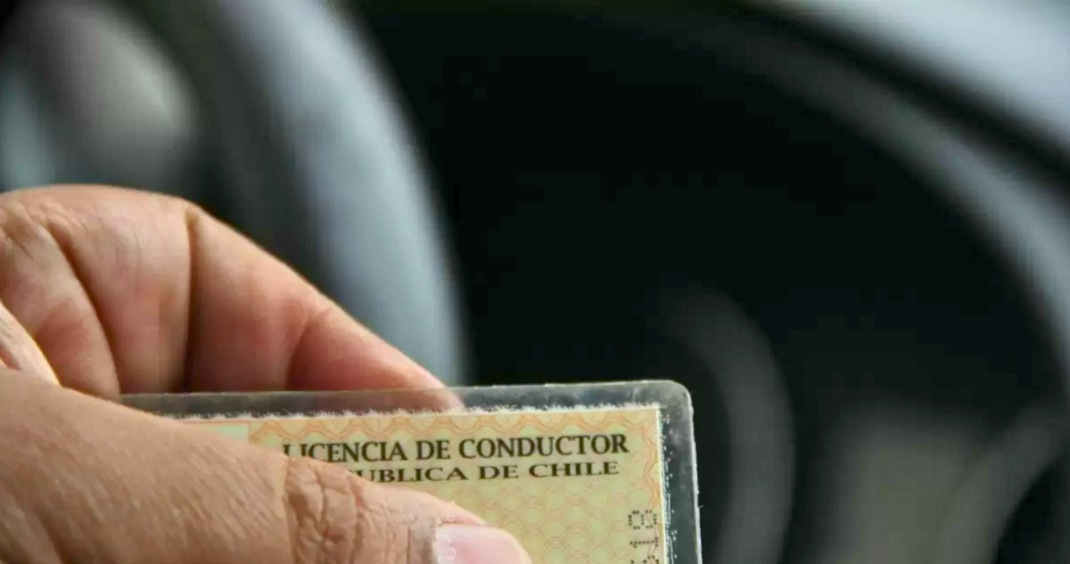 Licencias de conducir