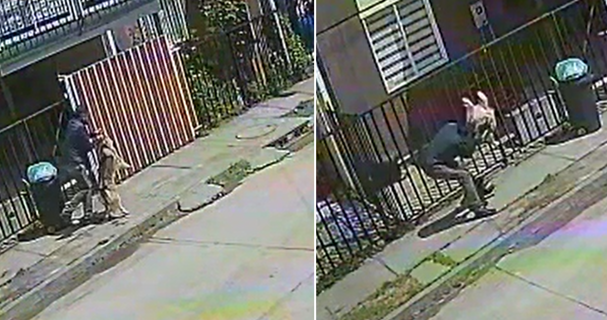 Grave caso de maltrato animal en Curanilahue: Hombre arrastró y golpeó a su perro en plena calle