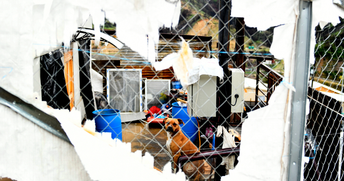 Foto de contexto de pobreza en Valparaíso