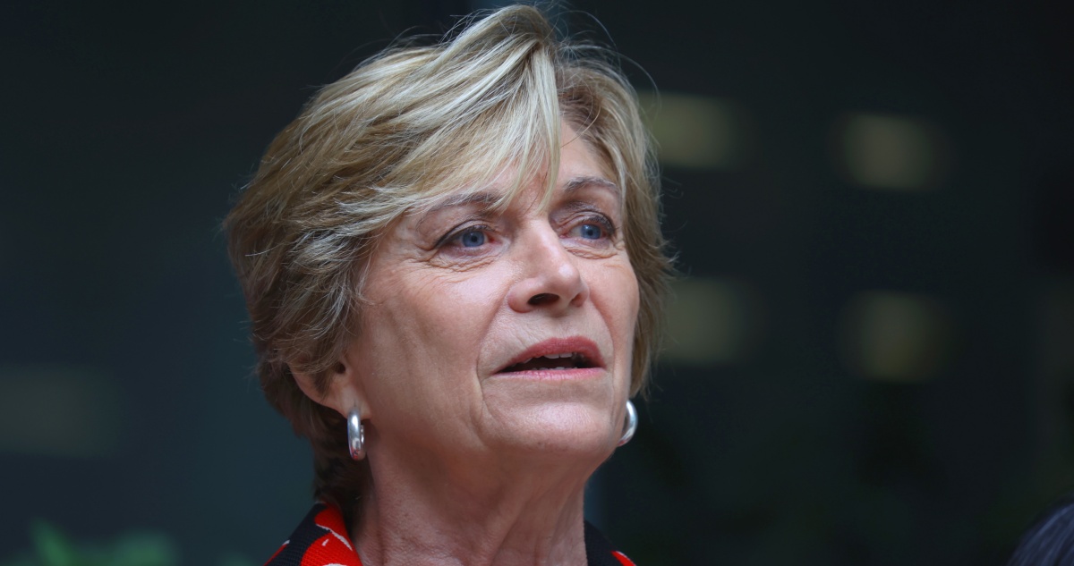 “La mejor opción”: más de 100 figuras de centro y de izquierda anuncian que votarán por Matthei