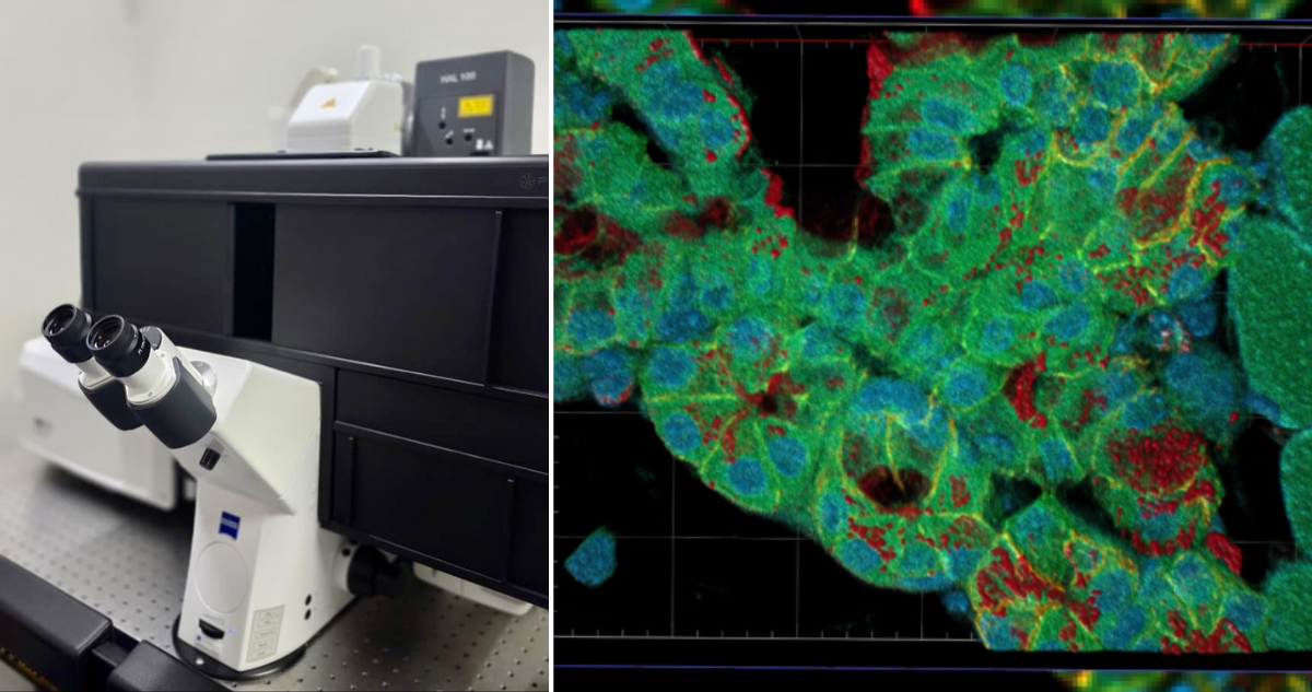 Instalan en Valdivia el microscopio más avanzado de Latinoamérica: potenciará investigaciones en Chile