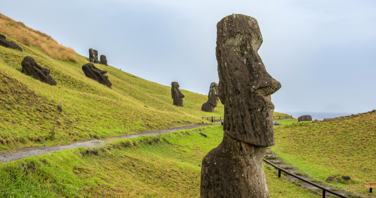 Estudio confirma que los moáis “caminaban” por Rapa Nui