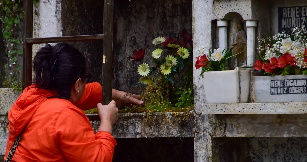 Municipio de Carahue indaga venta irregular de nichos en cementerio general: al menos tres casos