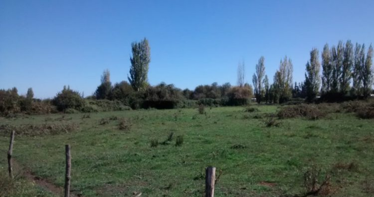 Municipio de San Antonio alerta por venta de loteo irregular en predio de sector Leyda