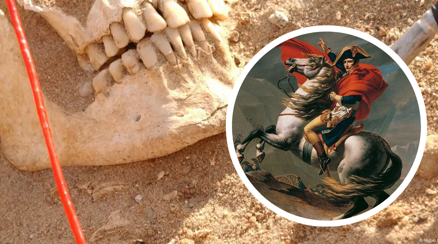 No fueron solo balas y frío: ADN reveló qué mató al ejército de Napoleón durante retirada de Rusia