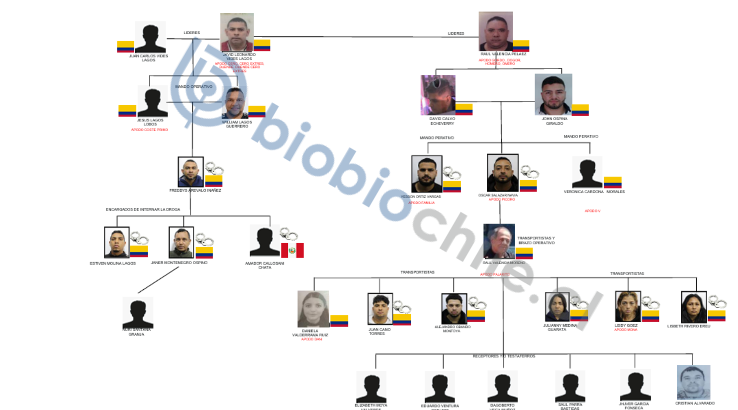 Inicia juicio contra "Los Costeños" banda criminal que ingresó el mayor cargamento de ketamina a Chile