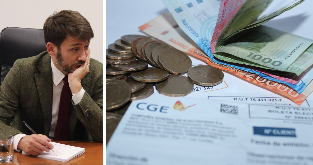 Pardow dice cuánto bajarían las cuentas de luz por error metodológico y llama a esperar informe final