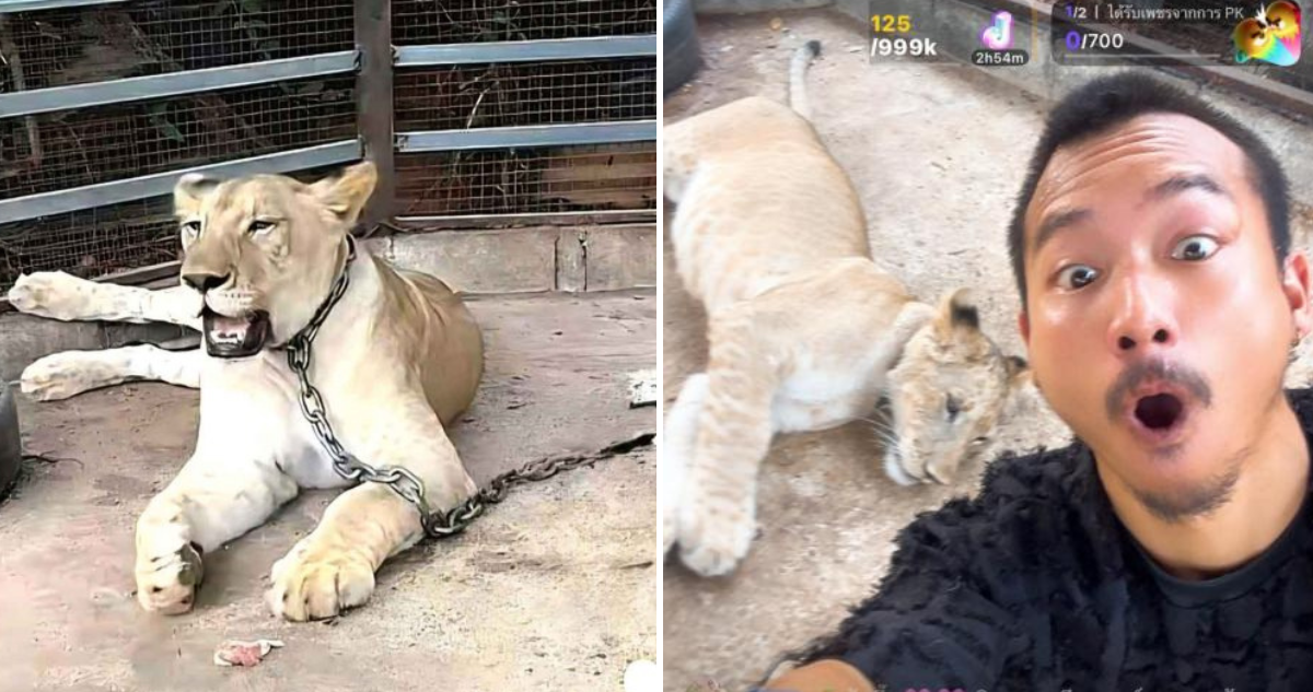 Leona de Parinya Parkpoom