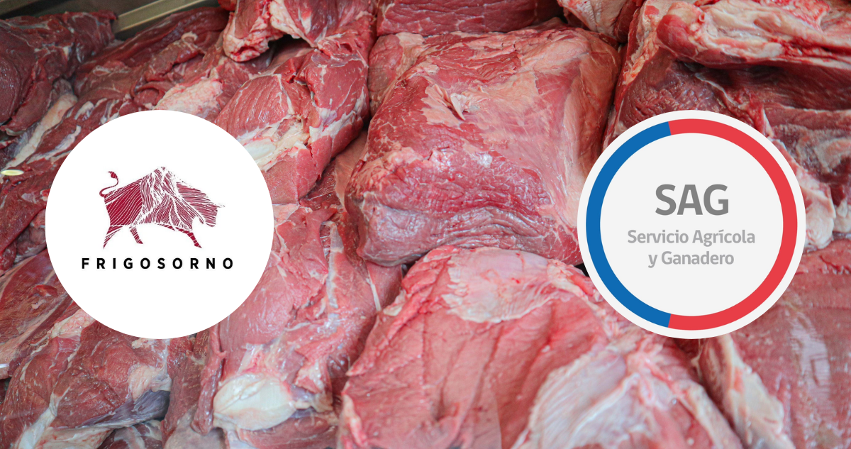 Paro de un sector del SAG causa merma en Frigosorno: gremio acusa reemplazo por gente sin experiencia