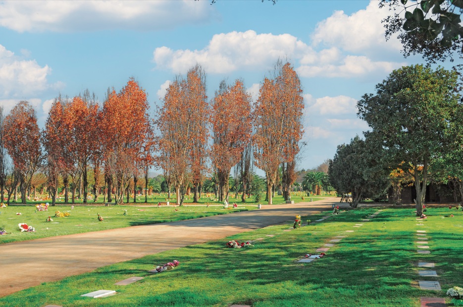 cementerios 1 de noviembre