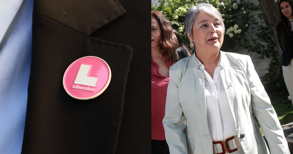 Partido Liberal no incluyó a Jara en su franja parlamentaria: argumentaron escaso tiempo asignado