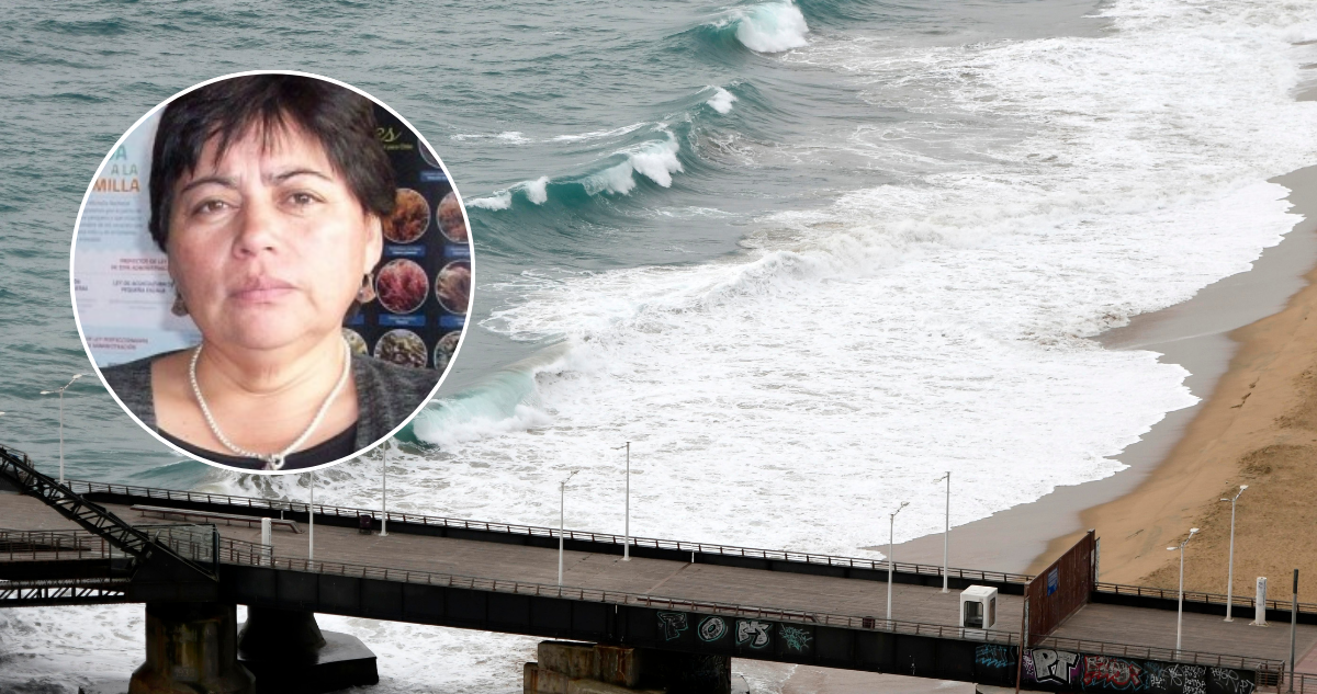 Pdta. de Conapach acusa “gran intervención económica” de ONG extranjeras para defender Ley Lafkenche