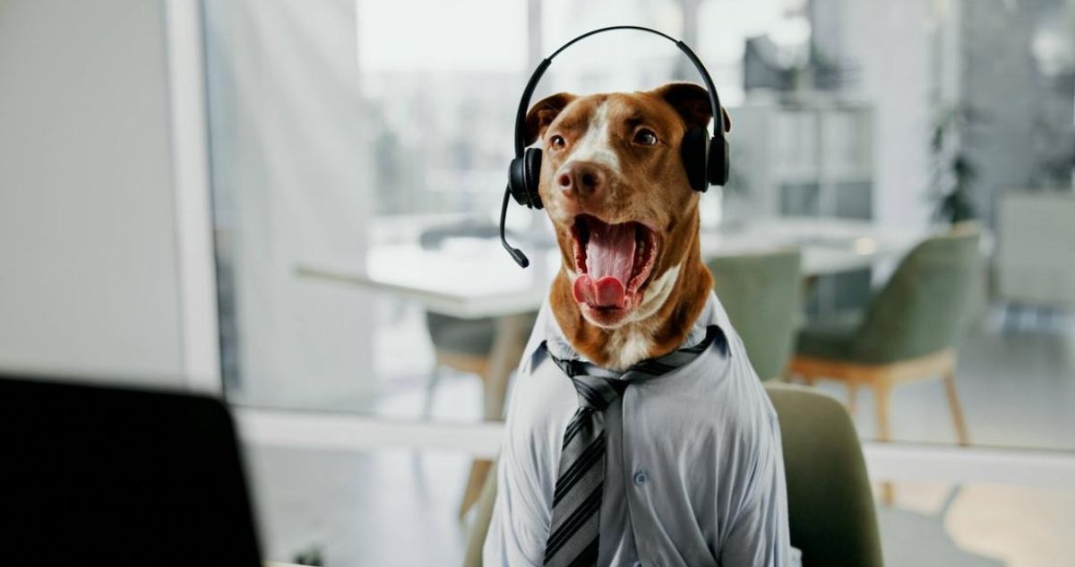 ¿Podrían los perros aprender a hablar? Teoría científica descifra por qué aún no lo han hecho