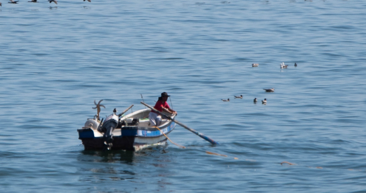 CONTEXTO | Agencia UNO