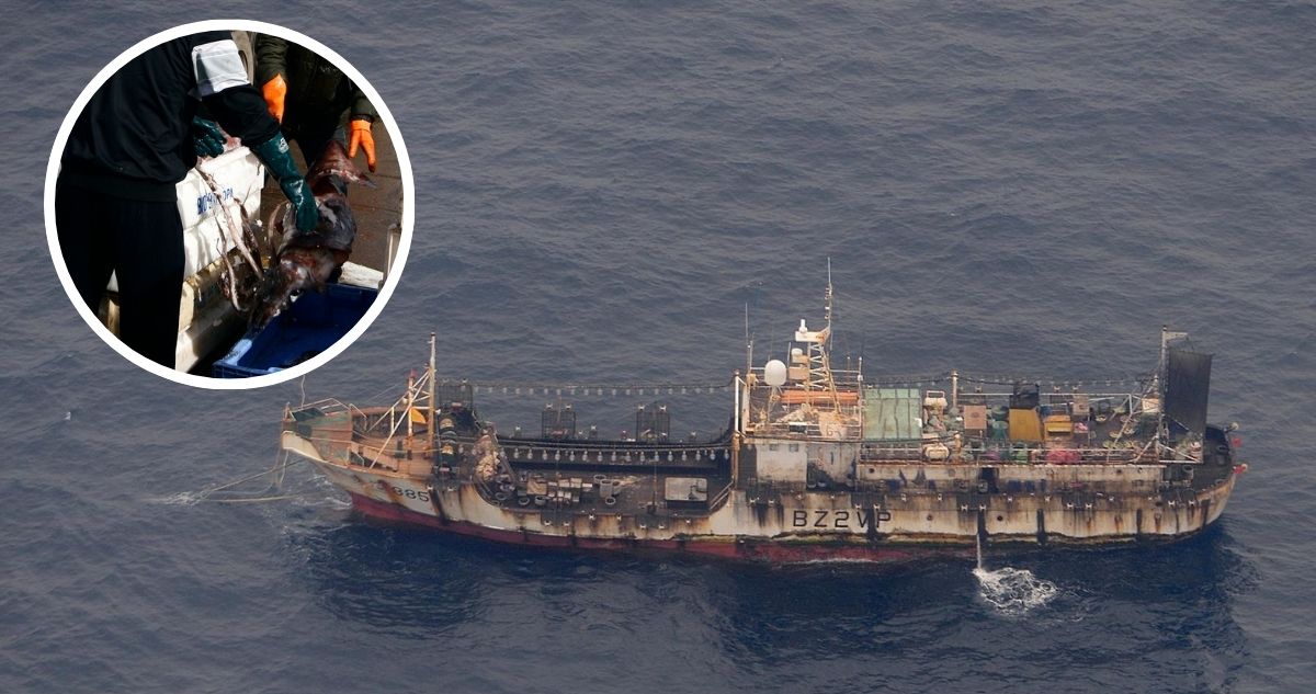 Pescadores artesanales advierten por flota china en aguas chilenas: “Son termitas del ecosistema”