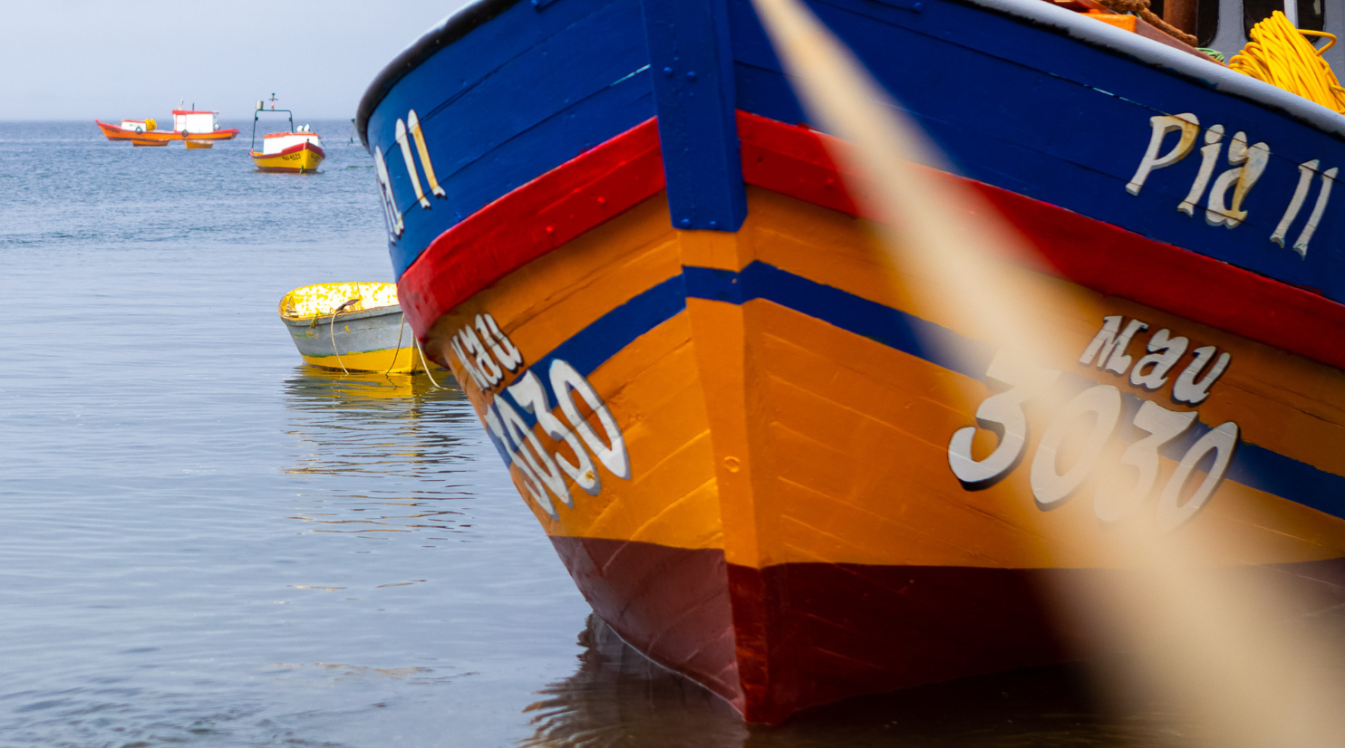 Pescadores artesanales de Purranque manifiestan problemas para mantener áreas de manejo
