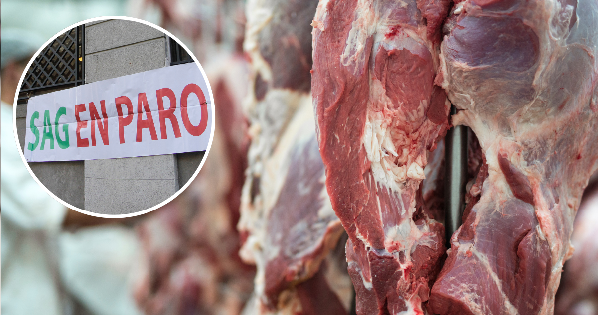 500 mil dólares diarios: industria de la carne acusa millonarias pérdidas por paro del SAG