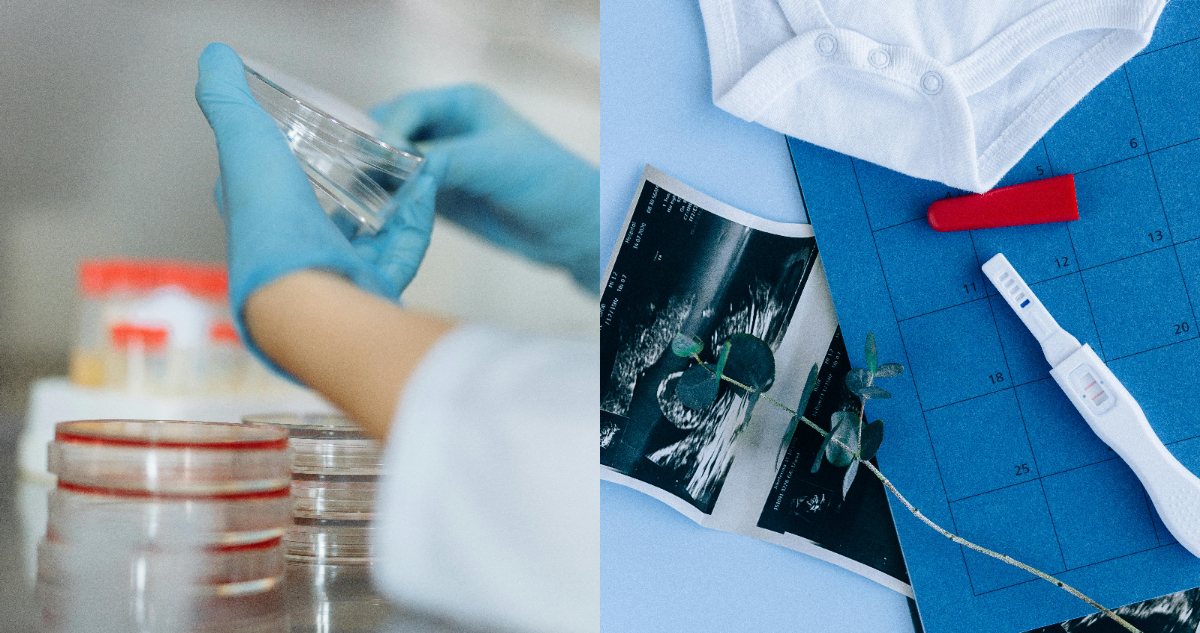 De Inglaterra a Chile: así nació el primer bebé concebido por fecundación in vitro en Latinoamérica