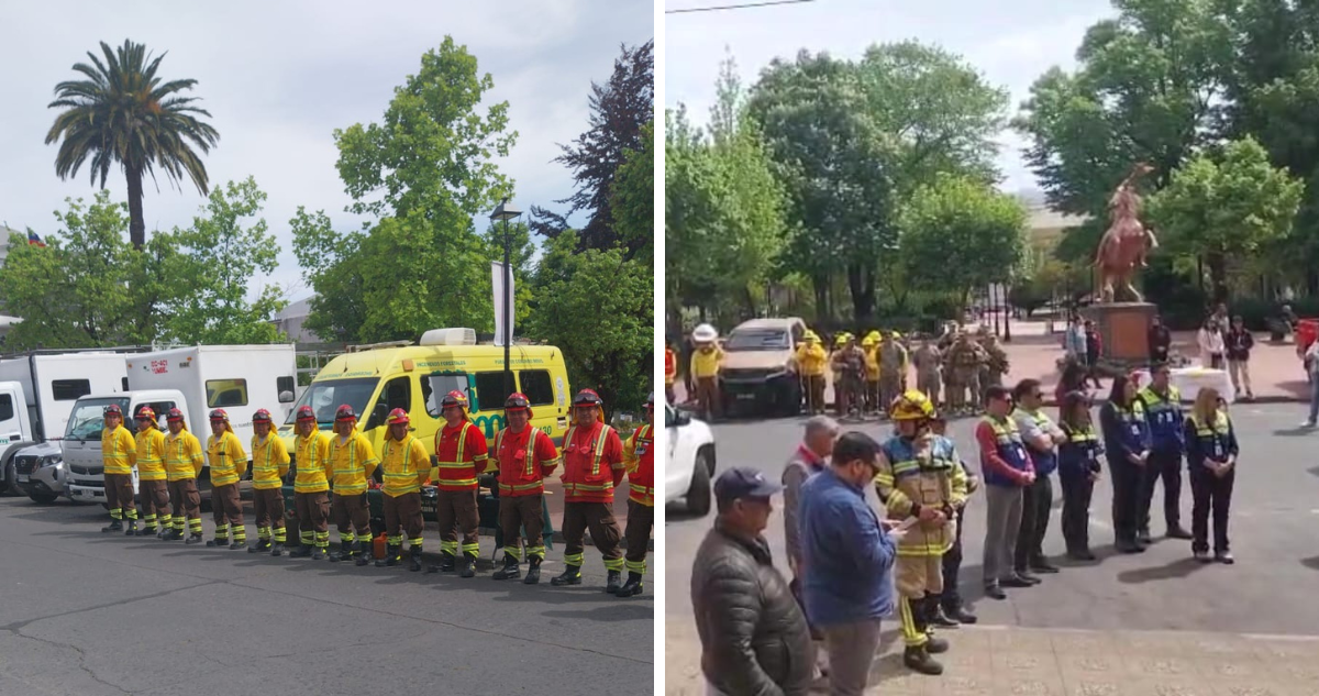 Provincia de Bío Bío: anuncian plan para combate de incendios forestales en temporada estival