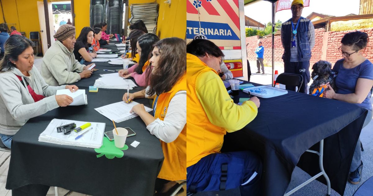 Subsidios y registro de mascotas: La Florida inicia atenciones ante segundo desalojo de toma Dignidad