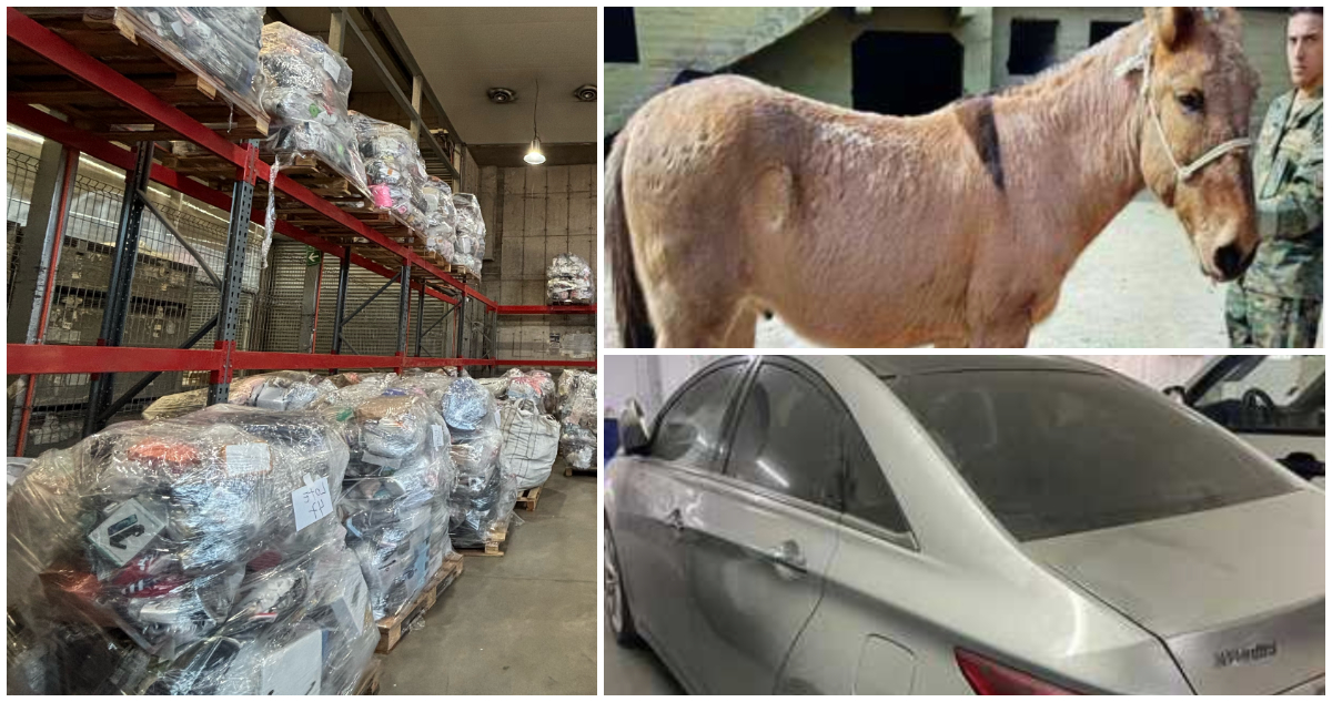 Maletas del aeropuerto, autos y caballos: Tía Rica anuncia el remate más esperado del año y es online