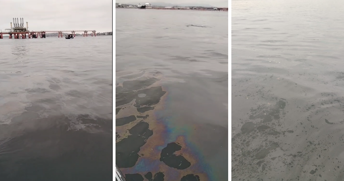 Reportan mancha oleosa en bahía Quintero: Capitanía de Puerto indaga su origen