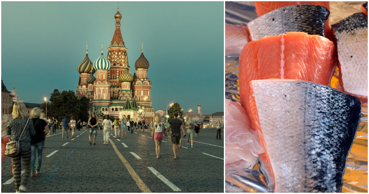 Rusia confirma puertas abiertas para productos marinos chilenos, pero la da un portazo a 7 empresas