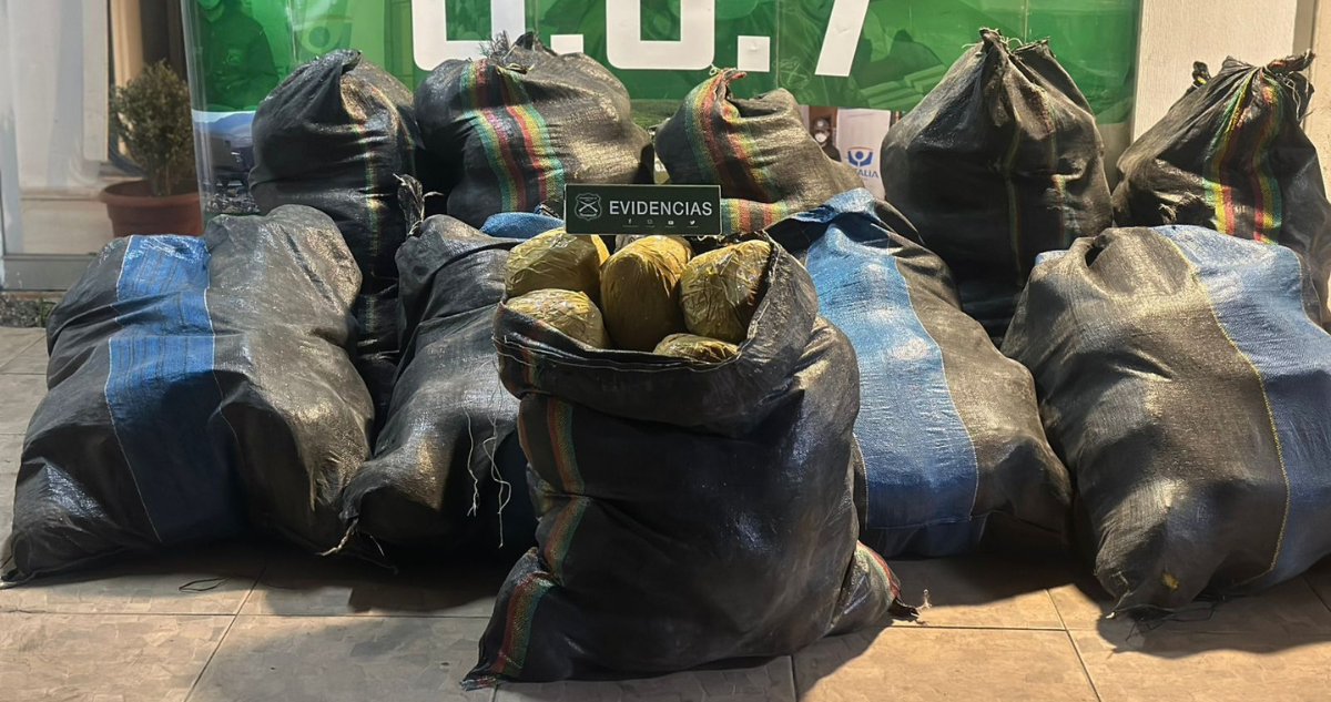 Detienen en Ruta 5 Norte a sujeto que transportaba 316 kilos de marihuana: el destino era Santiago