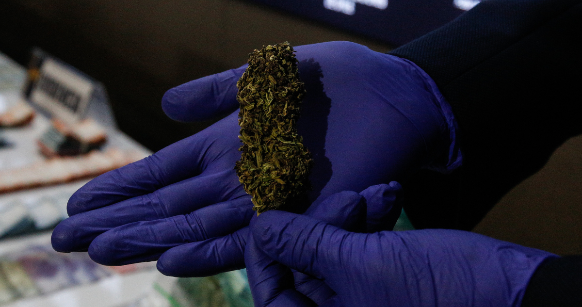 Prisión preventiva para dos personas que transportaban $70 millones en marihuana en Los Ríos