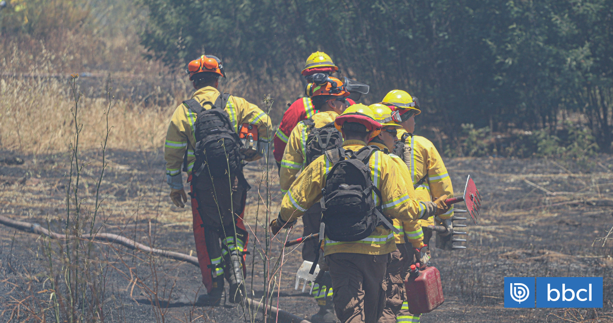 Araucanía: autoridades dan a conocer plan para enfrentar incendios forestales en temporada 2025-2026