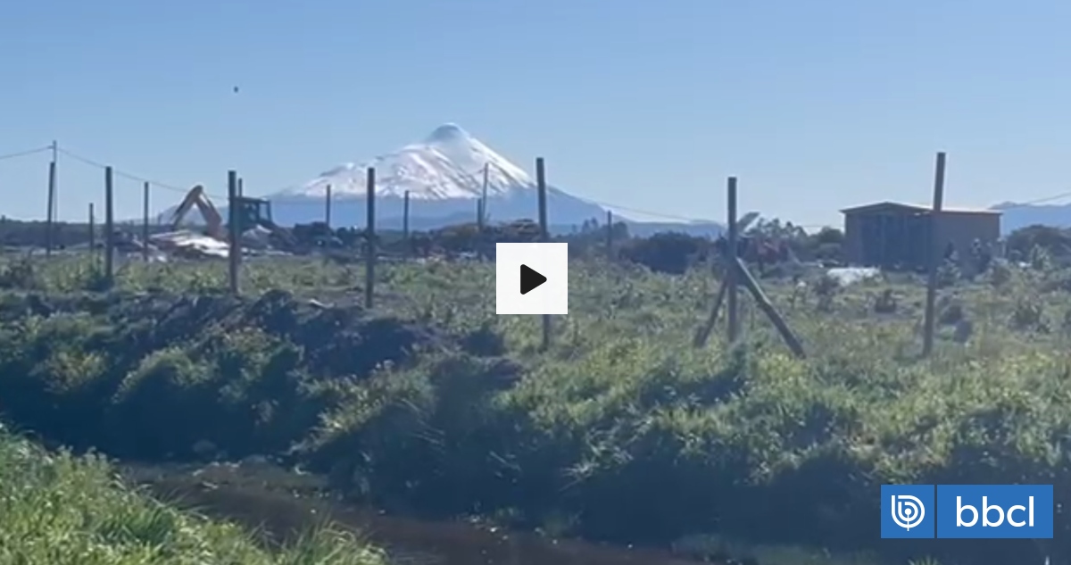 VIDEOS ️| Comienza desalojo de toma de terreno en sector Alerce Norte de Puerto Montt