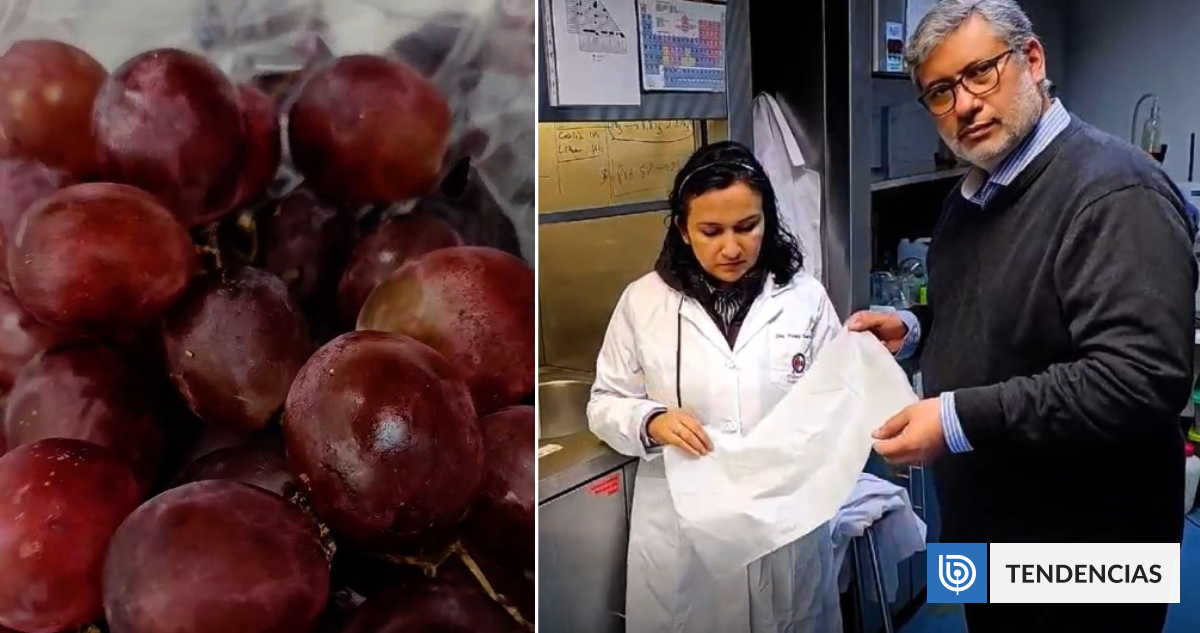 Chilenos desarrollan "gas en polvo" que encapsula fungicidas naturales y evita la pudrición de frutas