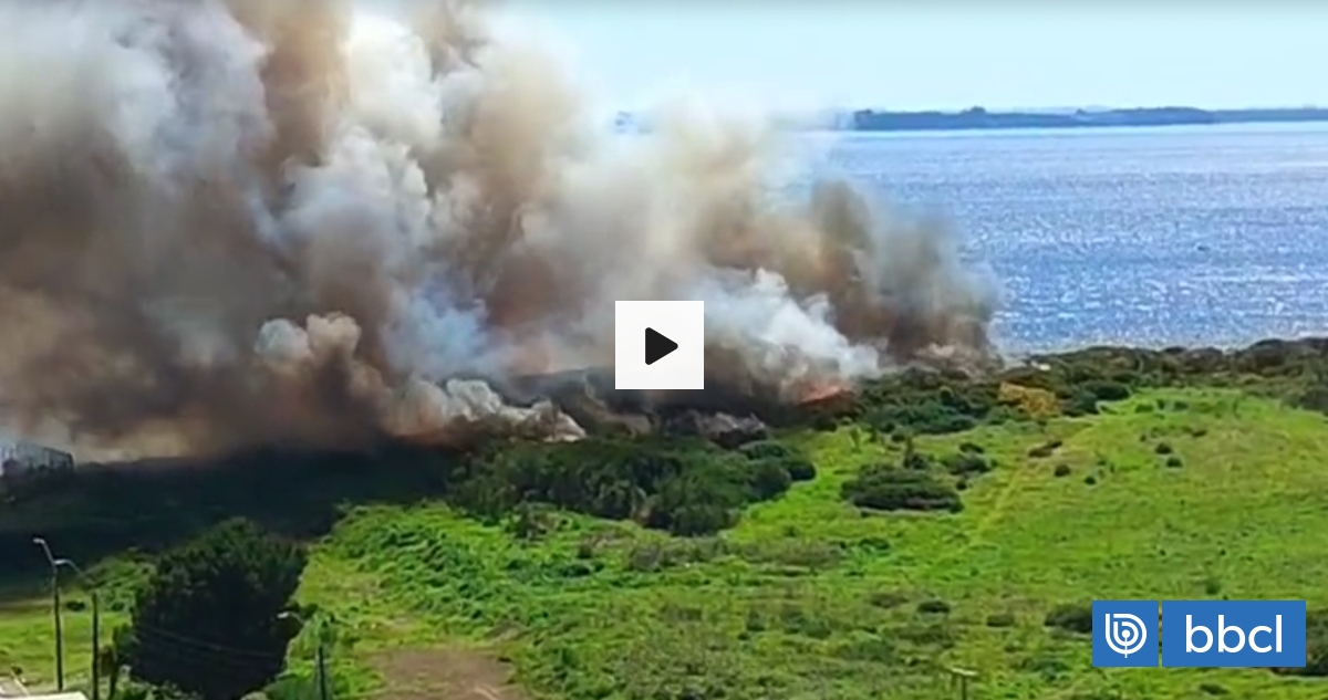 Declaran alerta roja en Ancud por incendio forestal que amenaza a viviendas