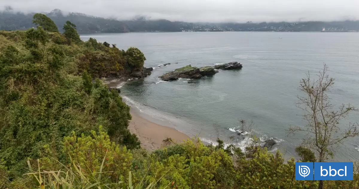 Los Ríos: Isla Mancera contará con viajes adicionales de barcazas para cargas de mayor envergadura