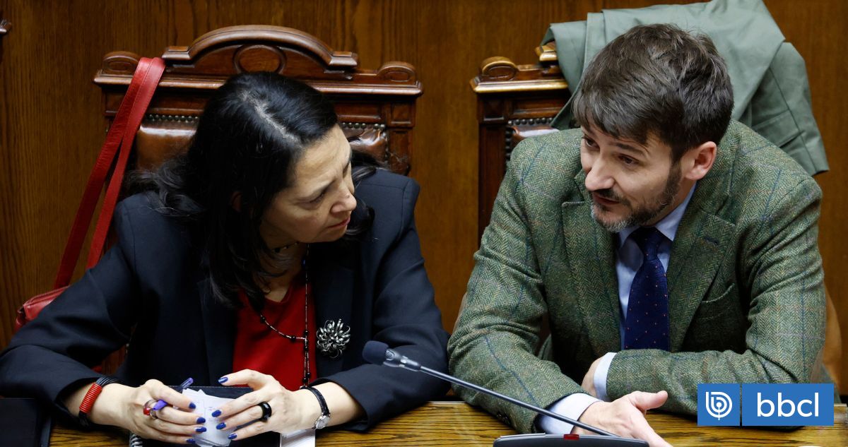 "No es un tema personal": ministra Lobos confirma apoyo jurídico del Gobierno a Pardow ante AC