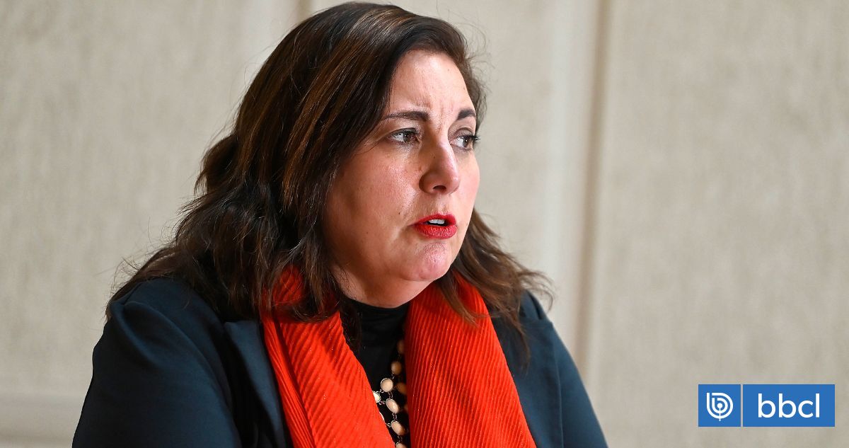 Con dardo a la Dipres: Vodanovic (PS) pide "patitas a la calle" al gobierno por Presupuesto 2026