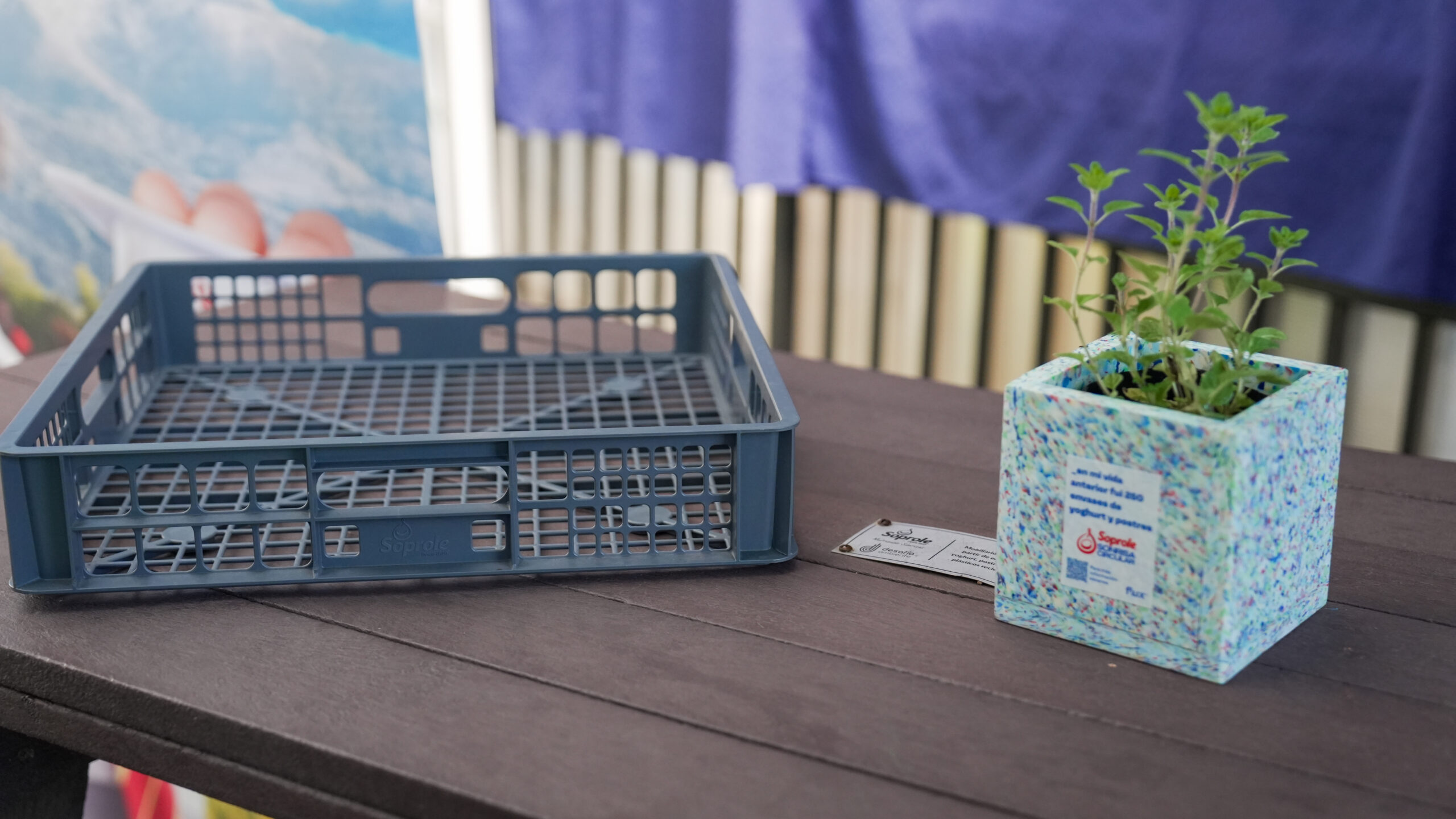 bandejas-reciclaje-soproel