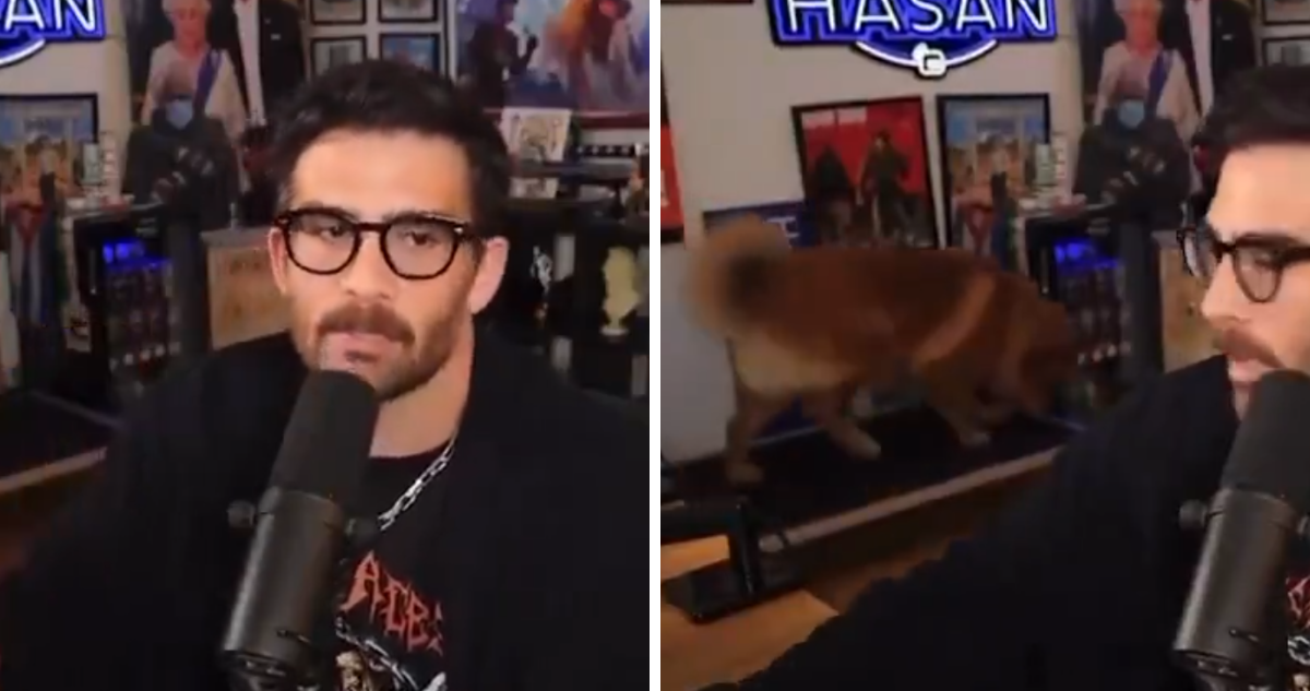 Streamer es acusado de aplicar descargas eléctricas a su perra en plena transmisión