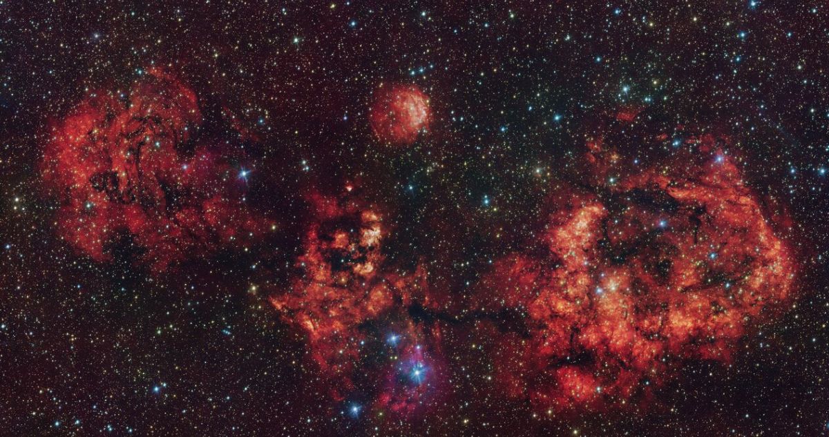 Imagen de telescopio del ESO capta sobre el cielo de Chile un “terrorífico” murciélago