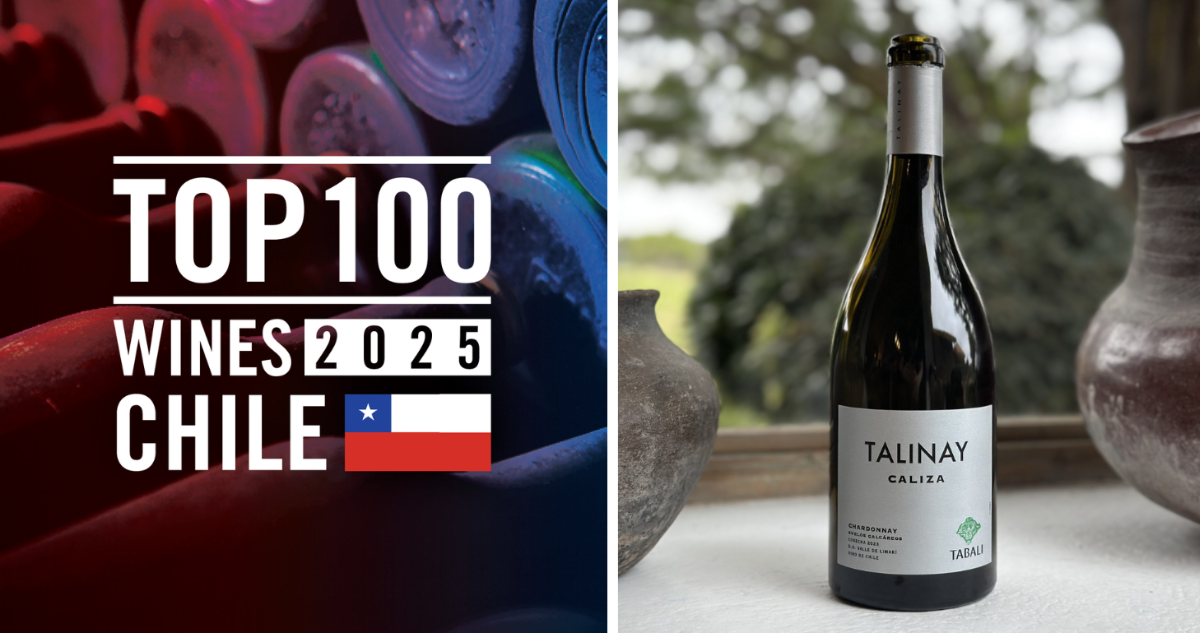 Vinos chilenos