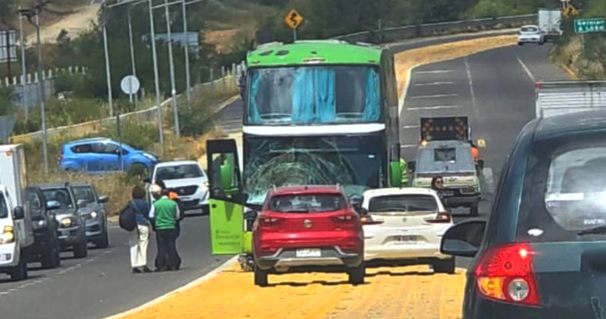 Tragedia familiar: fatal colisión de moto con bus deja a niño de 7 años sin sus padres en Quilpué