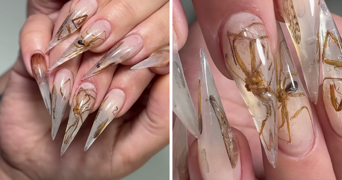 Uñas acrílicas de insectos