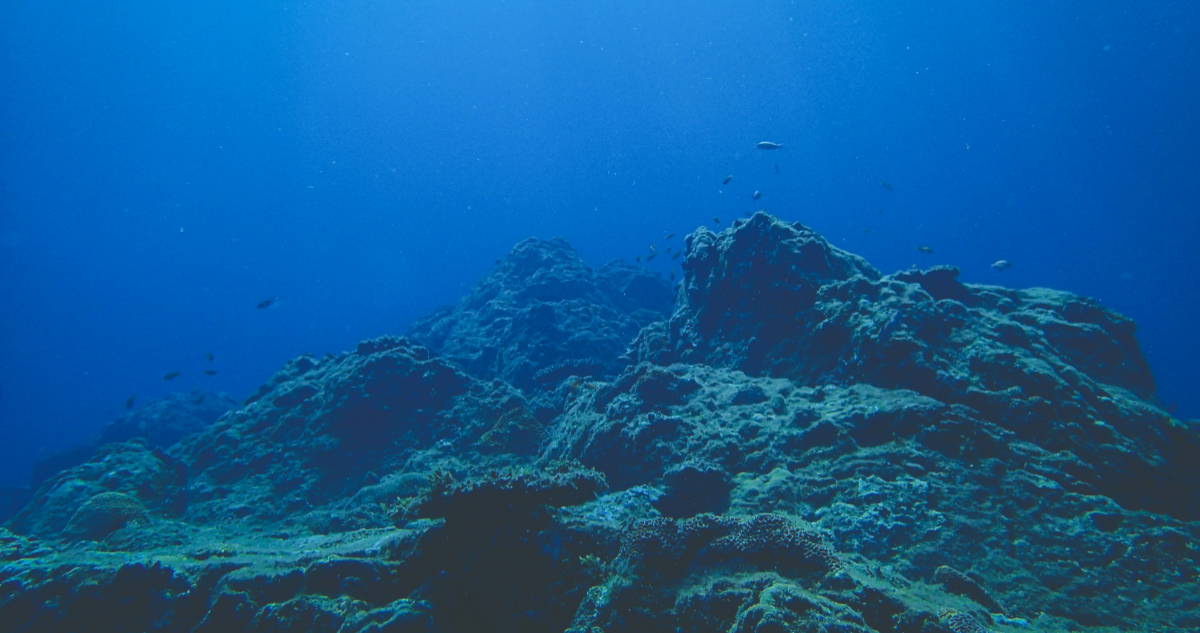Imagen referencial del fondo marino para ilustrar nota sobre el volcán submarino cerca de Chiloé