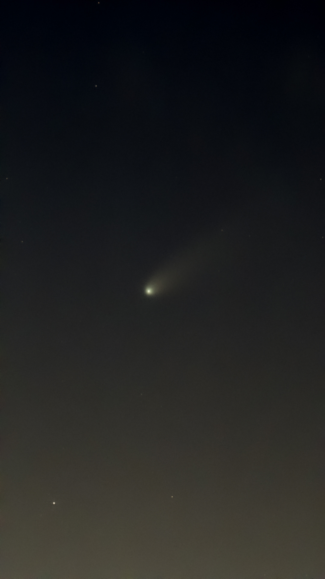 Cometa Lemmon